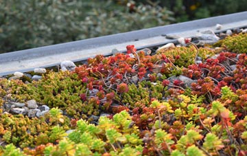 the cost of Dilwyn green roof installation