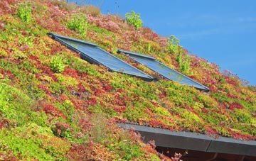 Dilwyn living roof systems